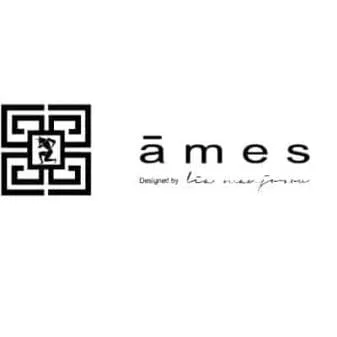 ames 1